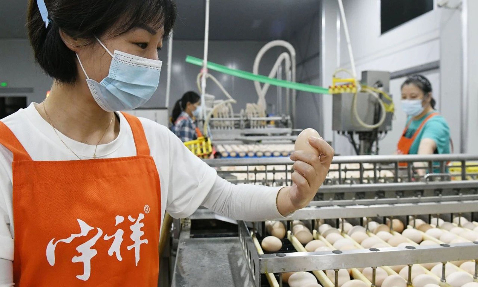 1740969128116299.jpg 微信圖片_20250211141449